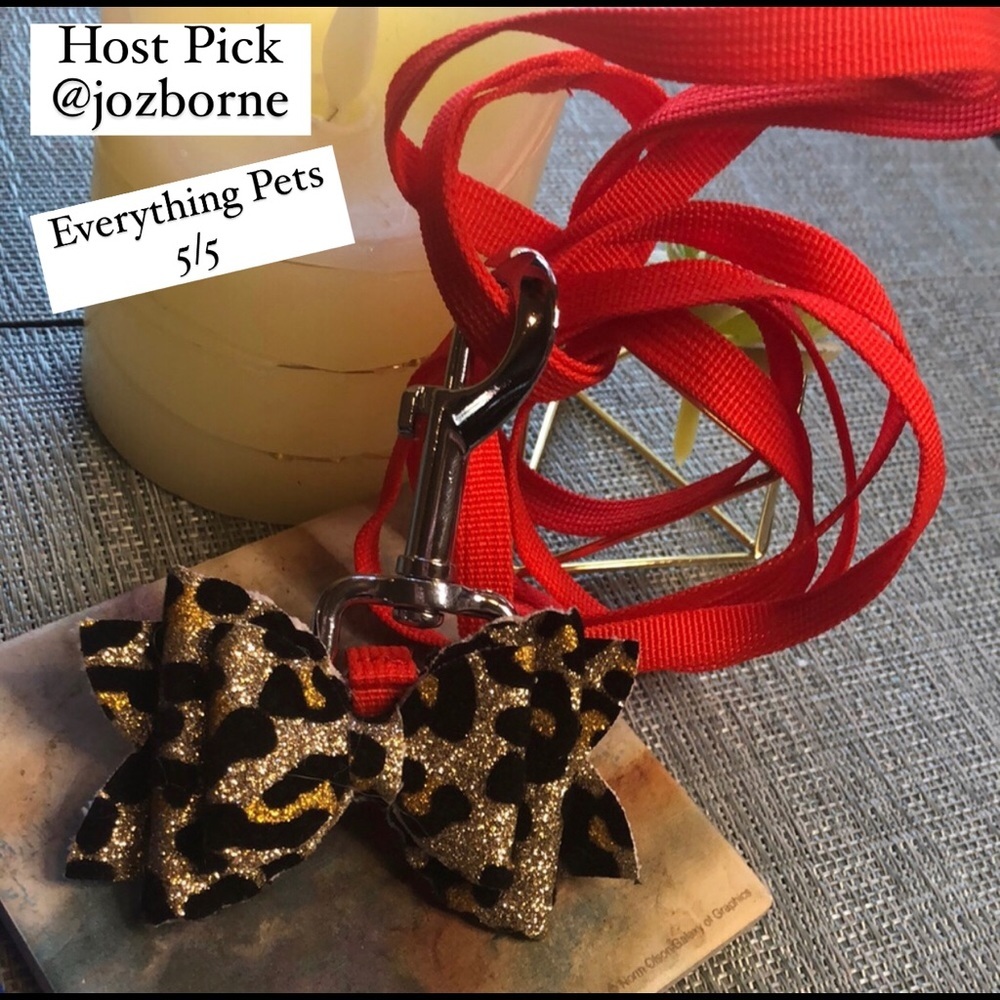 #14 🐾Dog Leash and Detachable Bow Set in Leopard 🐾